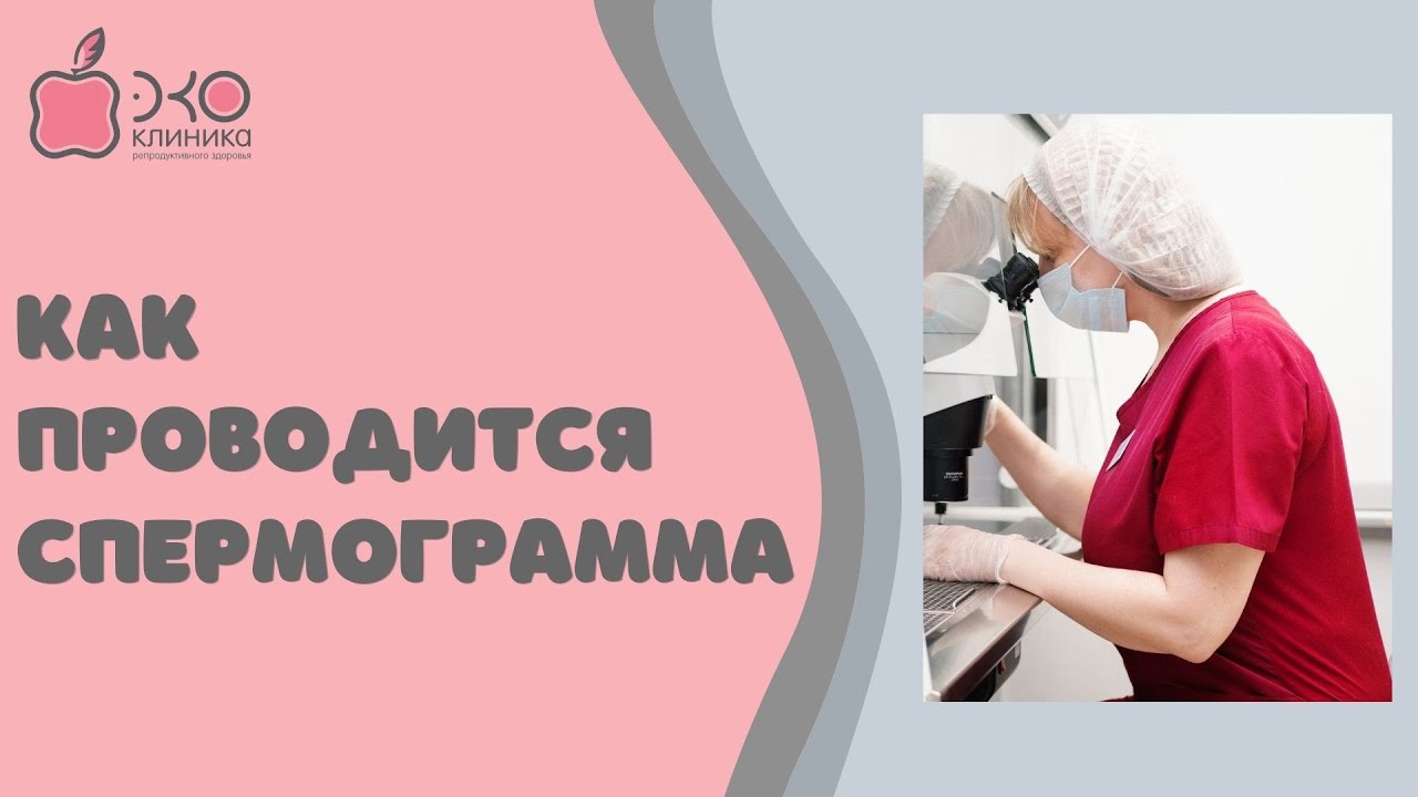 Как проводится спермограмма