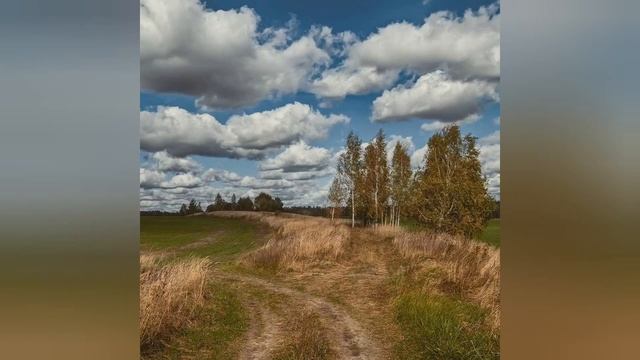 Коп в Зарайске. Где покопать в Московской области и в Зарайском районе смотреть онлайн