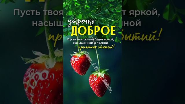 Доброе утро ☕🖐️всем,кто проснулся.Хорошего вам дня,отличного настроения... #shorts