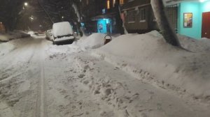 Снежная буря. Рекорд по снегу. Москва превратилась в снежный ком.