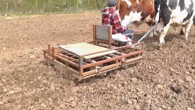 Primitive Technology vs World Modern Agriculture Mega Machines Farm Equipment Horse Power USA