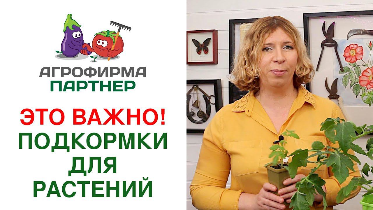 ЭТО ВАЖНО! ПОДКОРМКИ ДЛЯ РАСТЕНИЙ