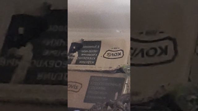 Снежана залазила в коробку смотреть онлайн