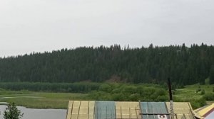 Дожди в Молёбке!