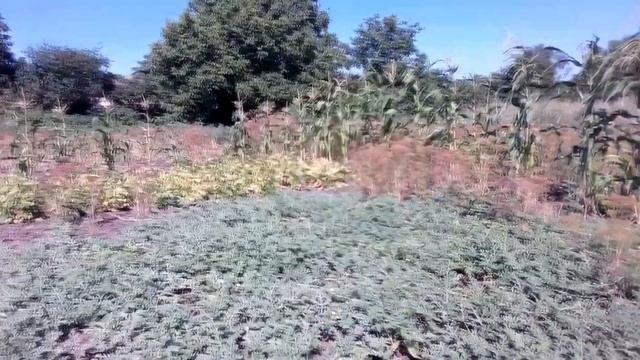 Лето Дача 2021 смотреть онлайн