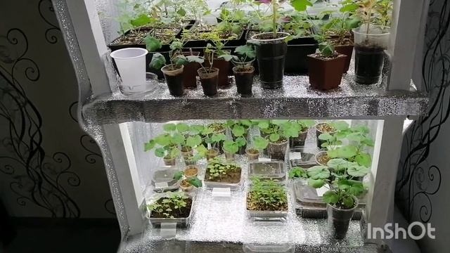 Подсветка на моих стеллажах в доме смотреть онлайн