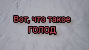 Вот, что такое ГОЛОД!!!