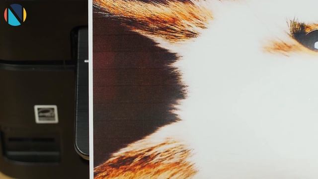 Как продлить срок службы принтера? смотреть онлайн