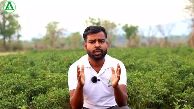 fasal me shampoo ke fayde || शैंपू को ऐसे करें फसल में इस्तेमाल फिर देखो कमाल ?