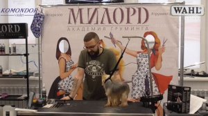 Роман Фомин. Секреты грумера - как принять собаку