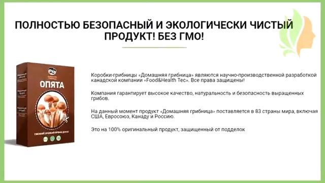 Домашняя Грибница набор для выращивания грибов. смотреть онлайн