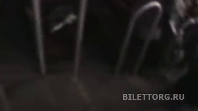 Дворец спорта Лужники (дс Лужники), ложи смотреть онлайн