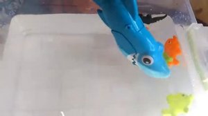 HUNGRY SHARK ОБЗОР ИГРУШКИ . АКУЛА