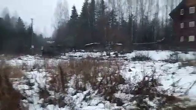 расчистка участка от деревьев и кустарников
