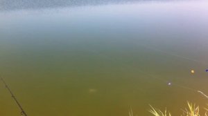 рыбалка крым феодосийское водохранилище