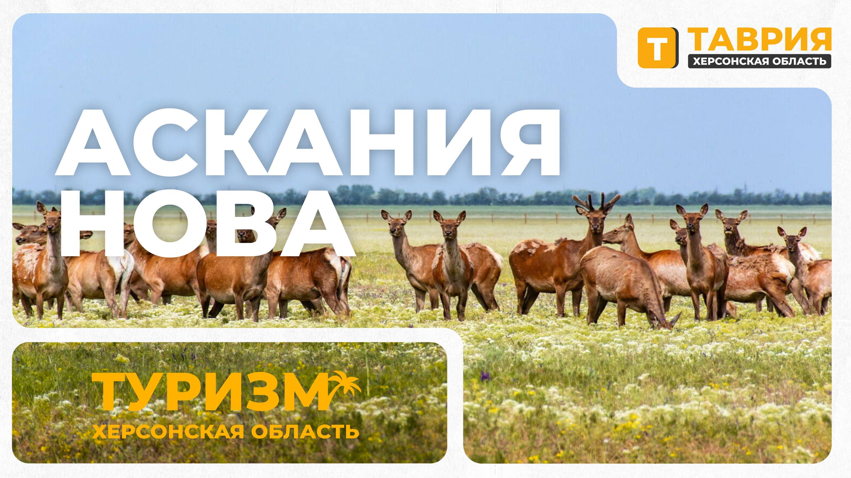 Аскания-Нова: настоящая жемчужина Херсонской области