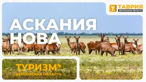 Аскания-Нова: настоящая жемчужина Херсонской области