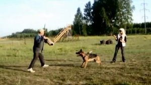 Защитный раздел — на площадке в с. Марусино.