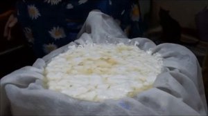 Дегидратор и молоко