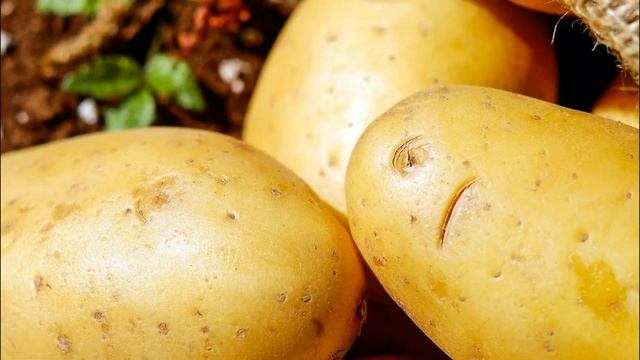 Польза Картошки для организма. В чем польза и вред картофеля? Жареная, вареная, сырая, сок или пюре