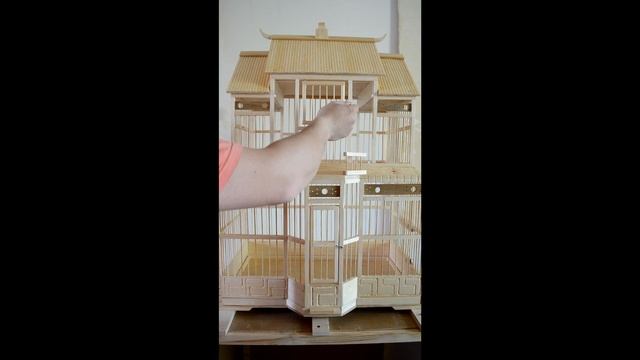 Чудо клетка. Описание