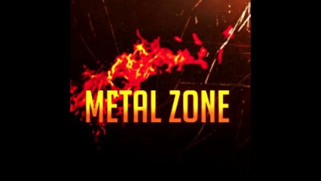 Vladimir Polyakov - Metal Zone