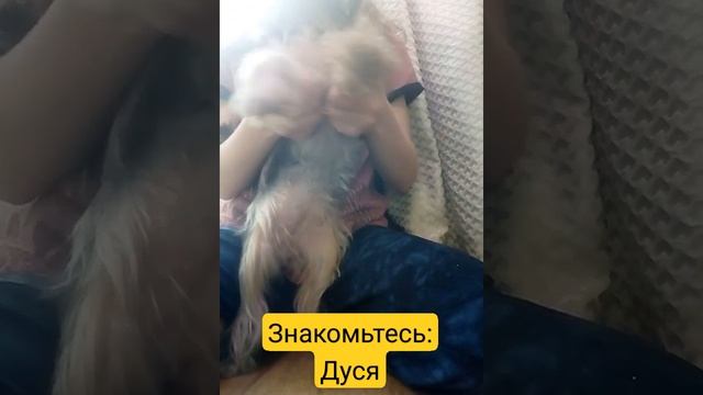 моя собака Евдокия (Дуся) смотреть онлайн