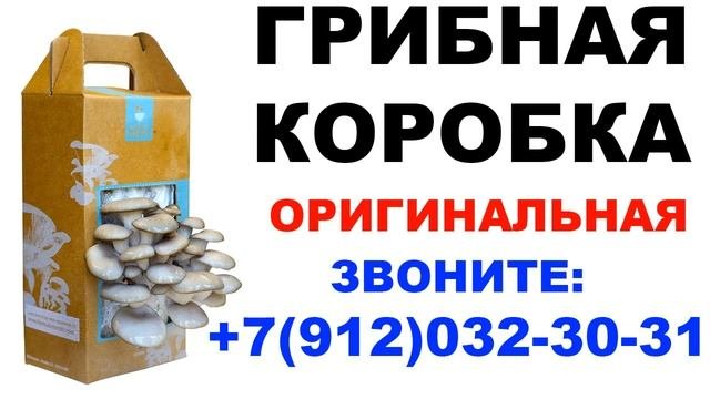 Грибная коробка (вешенка и шампиньоны) оригинальная (где купить? сколько стоит?)