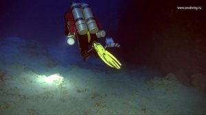 Ужас на дне Blue Hole/ Horror at the bottom of blue hole | 114 м глубина/ 114 m depth