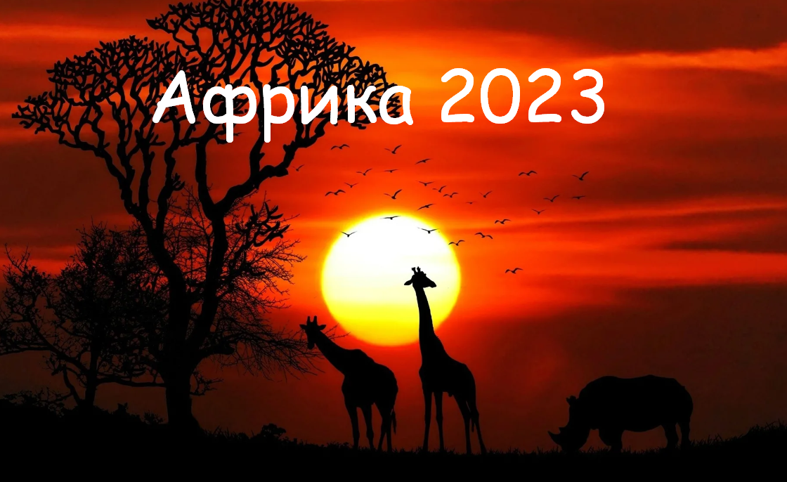 Африка 2023 год