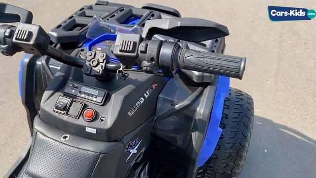 Электроквадроцикл Maverick BBH 3588 4WD