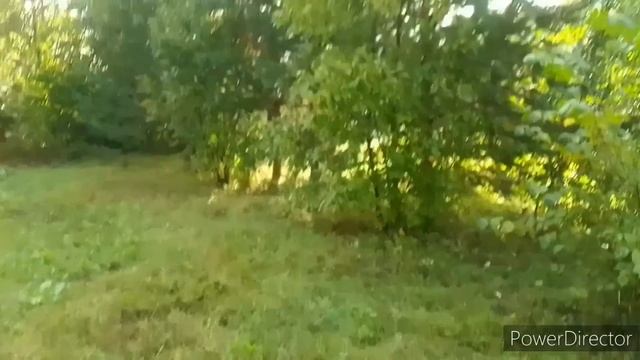 7 сентября 2022 г.ВЫЗВАЛИ ЭКОЛОГОВ , ОЗЕРО МАКСИМОВСКОЕ УФА смотреть онлайн