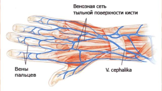 Вопросы, на которые мало кто знает ответ: смотреть онлайн