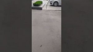 Узнала об Измене и Отомстила Месть за Измену Женская Месть Предательство Месть за Предательство