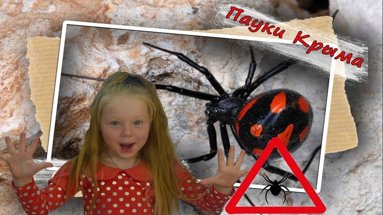 Ядовитые пауки Крыма смотреть онлайн