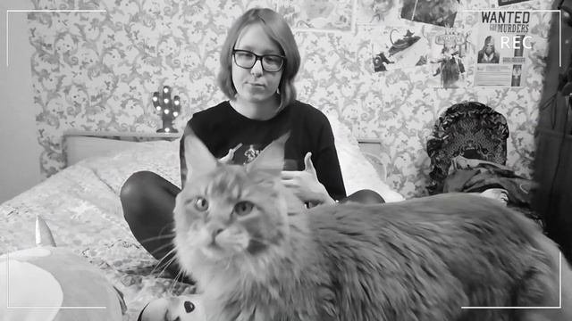 Спортмастер: Как это было...