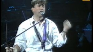 Ricardo Montaner, La cima del cielo, Festival de Viña 1991