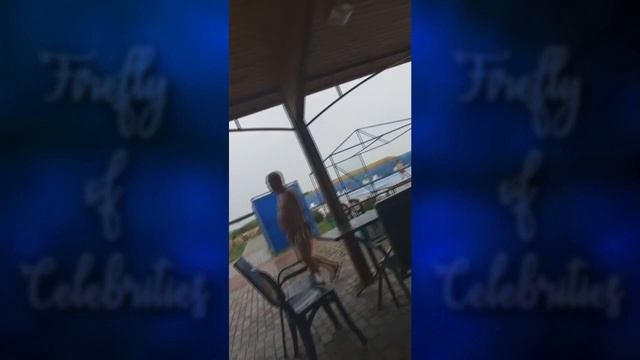 ПАЦАНКИ 4. Юлия Мишко - Часть 7 [ INSTA STORIES ] смотреть онлайн