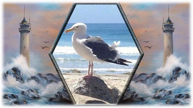 О море - море!