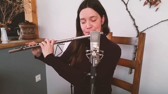 Irish Music on Silver Flute | Tunes In The Kitchen : Don't Touch That Green Linnet by Tommy Peoples смотреть онлайн