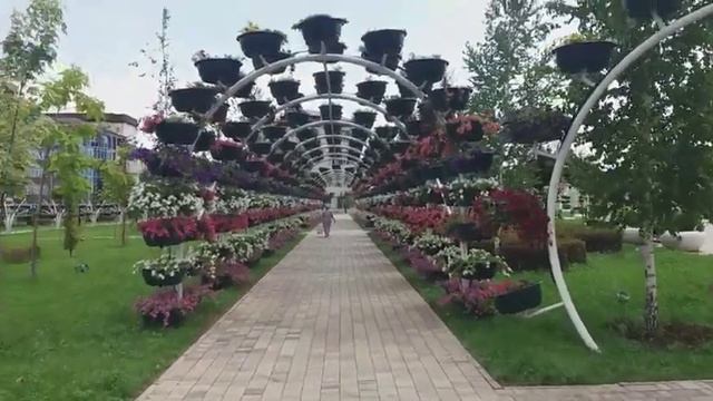 Грозный. Парк цветов из 150 тысяч цветов. Цветочная аллея. Грозный сити.