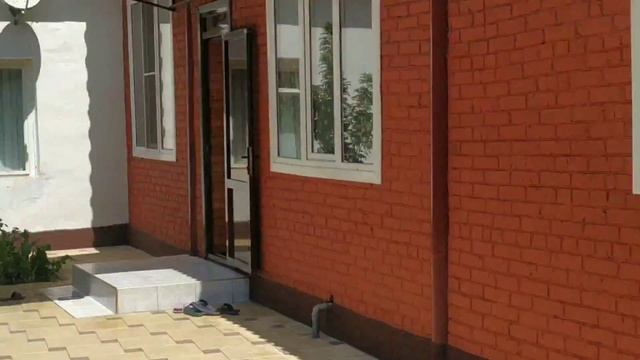 Линька тяжёлый этап для голубей. смотреть онлайн