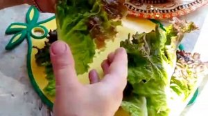 Закуска конвертики из листьев салата с мясной начинкой, без майонеза
