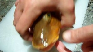 Морской петух (триглы) из Черного моря