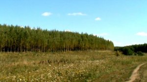 СВ,МУЧЕНИЦЫ ПУЗОВСКИЕ ЕВДОКИЕ,ДАРИЕ,ДАРИЕ И МАРИЕ.