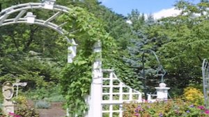 33 КРАСИВЫХ АРКИ В САДУ | GARDEN IDEAS 33 ARCHES