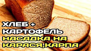 ТЕСТО ДЛЯ РЫБАЛКИ НА КАРАСЯ. ТЕСТО ИЗ ЧЕРНОГО ХЛЕБА НА КАРАСЯ, КАРПА
