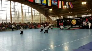 Показательное выступление сборной Китая по традиционному ушу