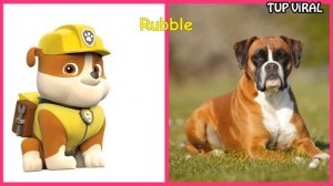 PAW PATROL Characters That Exist In Real Life ?@TupViral