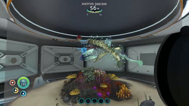 Subnautica Установка и заселение больших  аквариумов Installation and colonization aquariums